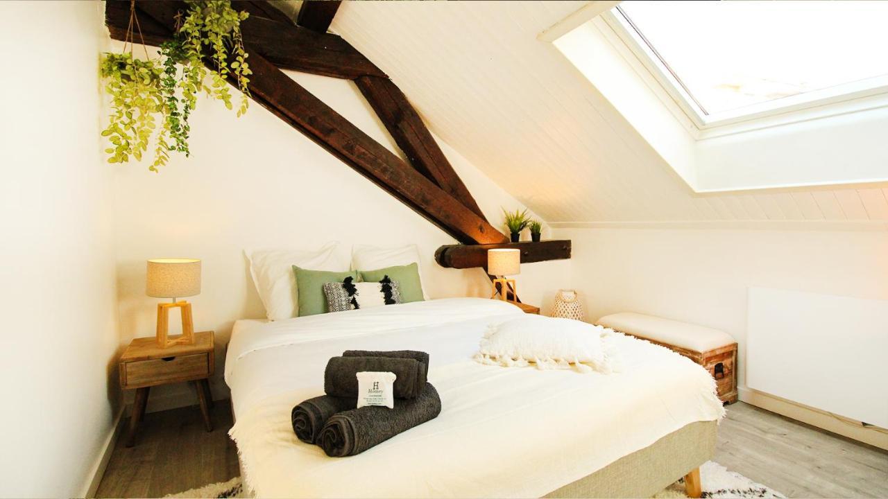 Homey Bella - New / Duplex / Downtown / Close Geneva Annemasse Eksteriør billede