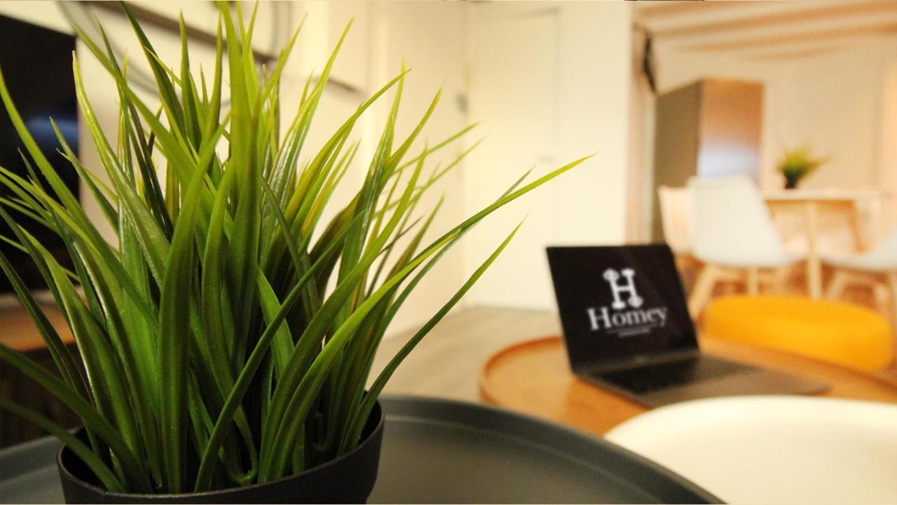 Homey Bella - New / Duplex / Downtown / Close Geneva Annemasse Eksteriør billede